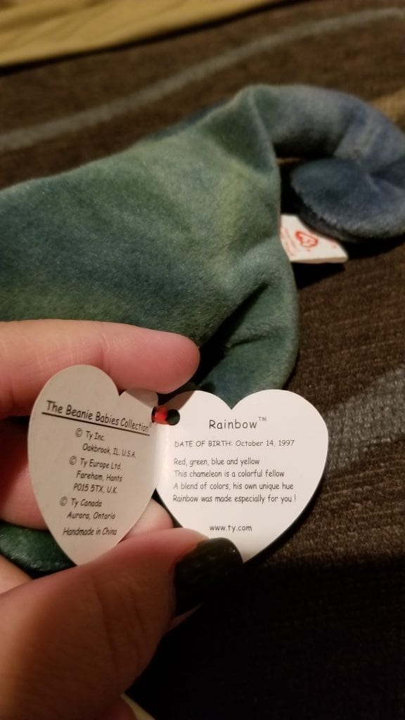 scrappy beanie baby