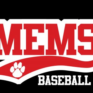 MEMS Baseball 2019