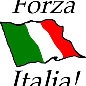 MEMS - Forza Italia!